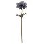 Picture of 35cm SINGLE ANEMONE DRY COLOUR GREY