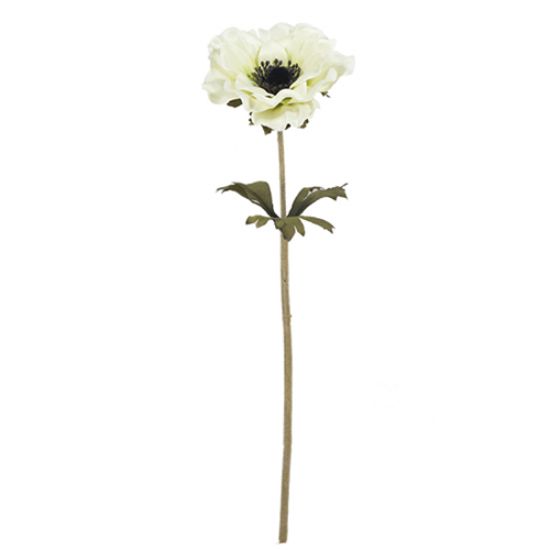 Picture of 35cm SINGLE ANEMONE DRY COLOUR CREAM