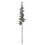 Picture of 79cm DELPHINIUM SPRAY DRY COLOUR GREY