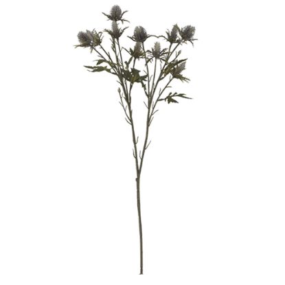 Picture of 68cm ERYNGIUM (SEA HOLLY) SPRAY DRY COLOUR GREY