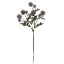 Picture of 56cm PLASTIC POMPOM DAHLIA SPRAY DRY COLOUR GREY