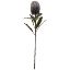 Picture of 65cm LARGE BANKSIA DRY COLOUR GREY