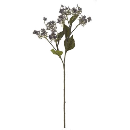 Picture of 62cm WILD HYDRANGEA SPRAY DRY COLOUR GREY