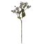Picture of 62cm WILD HYDRANGEA SPRAY DRY COLOUR GREY