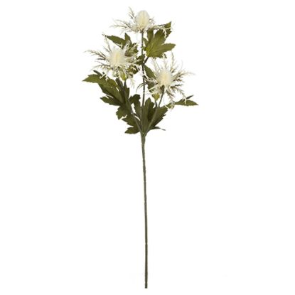 Picture of 66cm ERYNGIUM (SEA HOLLY) SPRAY DRY COLOUR CREAM