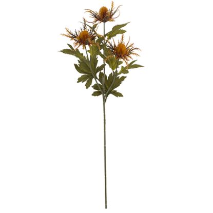 Picture of 66cm ERYNGIUM (SEA HOLLY) SPRAY DRY COLOUR ORANGE