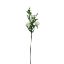 Picture of 72cm ROSE SPRAY IVORY