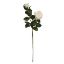 Picture of 67cm ROSE SPRAY IVORY