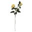 Picture of 67cm ROSE SPRAY LEMON
