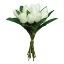 Picture of 35cm TULIP BUNDLE (12 STEMS) IVORY