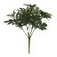 Picture of 31cm EUONYMUS BUSH GREY/GREEN