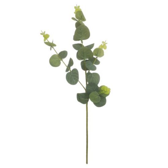 Picture of 44cm EUCALYPTUS SPRAY GREY/GREEN