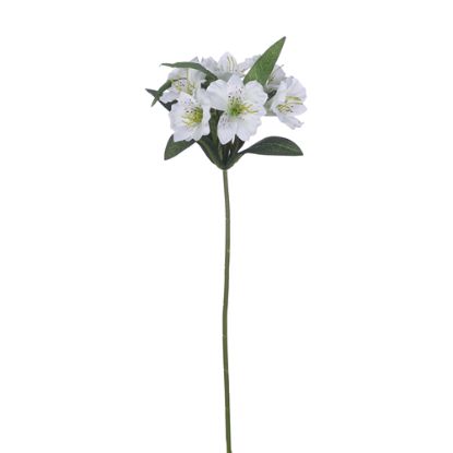 Picture of 46cm ALSTROEMERIA SPRAY IVORY