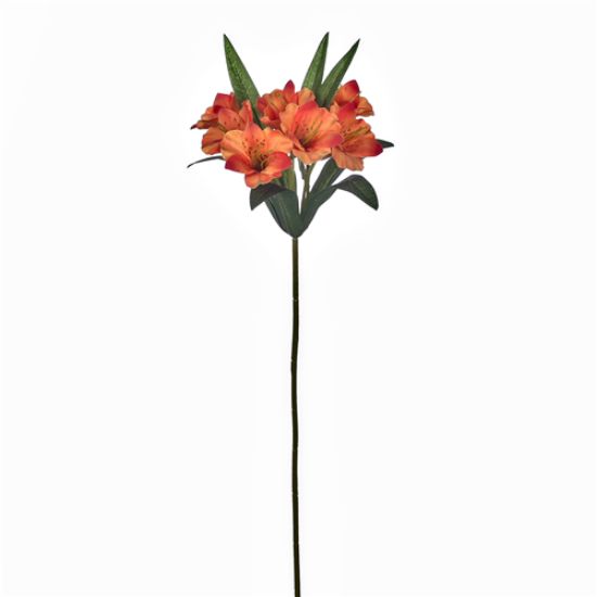 Picture of 46cm ALSTROEMERIA SPRAY ORANGE