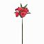 Picture of 46cm ALSTROEMERIA SPRAY RED