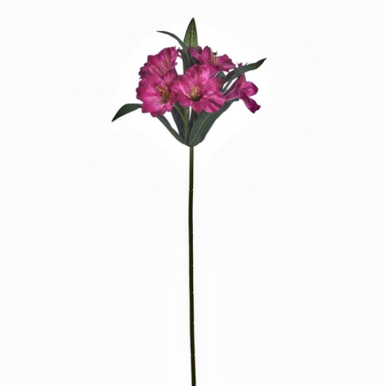 Picture of 46cm ALSTROEMERIA SPRAY WINE