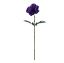 Picture of 50cm SINGLE ANEMONE PURPLE