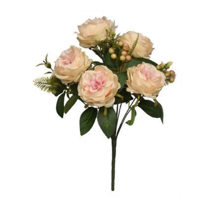 Picture of 43cm CAMELLIA ROSE BUSH PEACH/PINK