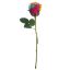 Picture of 50cm FRESH TOUCH SINGLE ROSEBUD RAINBOW