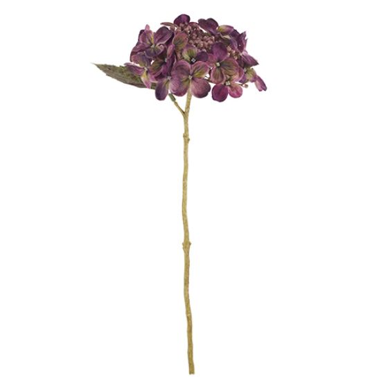 Picture of 52cm BUDDING HYDRANGEA DRY COLOUR LILAC/PURPLE