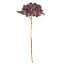 Picture of 52cm BUDDING HYDRANGEA DRY COLOUR LILAC/PURPLE