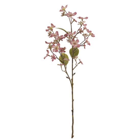 Picture of 63cm FORGET-ME-NOT SPRAY DRY COLOUR PINK