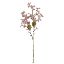 Picture of 63cm FORGET-ME-NOT SPRAY DRY COLOUR PINK