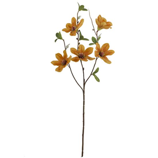 Picture of 64cm MAGNOLIA SPRAY DRY COLOUR ORANGE