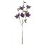 Picture of 64cm MAGNOLIA SPRAY DRY COLOUR LILAC/PURPLE