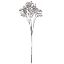 Picture of 70cm GYP SPRAY DRY COLOUR GREY
