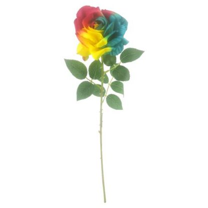 Picture of 62cm SINGLE ROSE RAINBOW