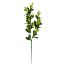 Picture of 70cm BERRY SPRAY GREEN