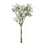 Picture of 36cm FORGET ME NOT BUNDLE WHITE
