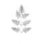 Picture of 42cm GLITTERED FERN LEAF SPRAY SILVER X 6pcs