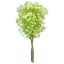 Picture of 34cm PLASTIC GYP BUNDLE IVORY/GREEN