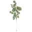 Picture of 80cm EUCALYPTUS SPRAY GREY/GREEN