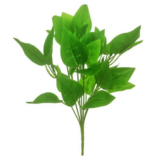 Picture of 32cm POTHOS BUSH GREEN