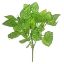 Picture of 32cm FITTTONIA BUSH GREEN