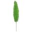 Picture of 36cm FERN LEAF LIGHT GREEN X 12pcs