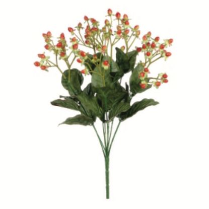 Picture of 43cm HYPERICUM BERRY BUSH ORANGE