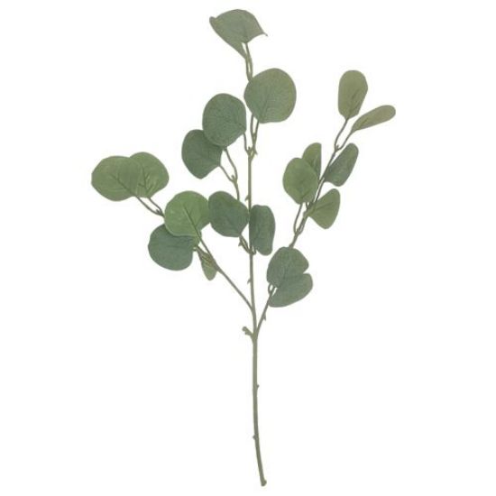 Picture of 54cm EUCALYPTUS SPRAY GREY/GREEN X 6pcs