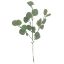 Picture of 54cm EUCALYPTUS SPRAY GREY/GREEN X 6pcs