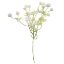 Picture of 34cm GYP BUNDLE (3 STEMS) WHITE