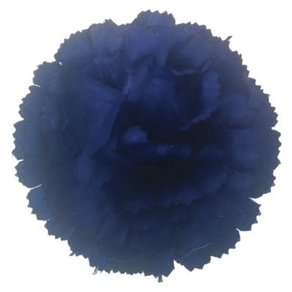 Picture of CARNATION PICK NAVY BLUE X 144pcs (IN POLYBAG)