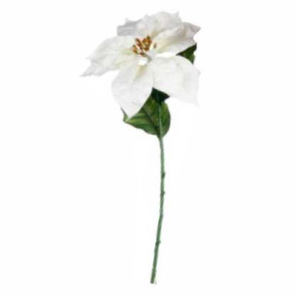 Picture of 66cm SINGLE POINSETTIA WHITE