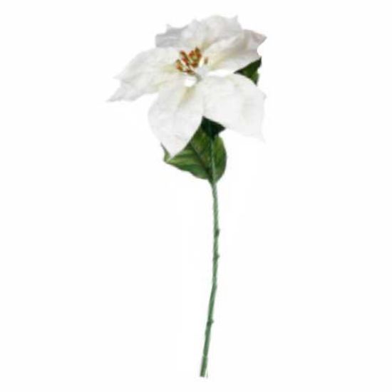 Picture of 66cm SINGLE POINSETTIA WHITE
