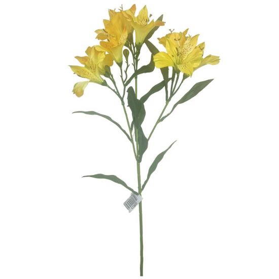 Picture of 70cm ALSTROEMERIA SPRAY YELLOW