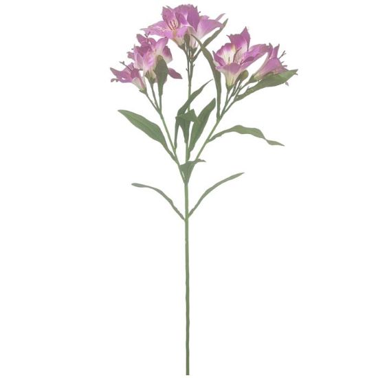 Picture of 70cm ALSTROEMERIA SPRAY PINK