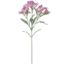 Picture of 70cm ALSTROEMERIA SPRAY PURPLE/LILAC