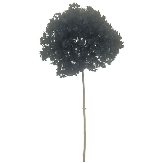 Picture of SINGLE LARGE DRIED HYDRANGEA DARK GREY